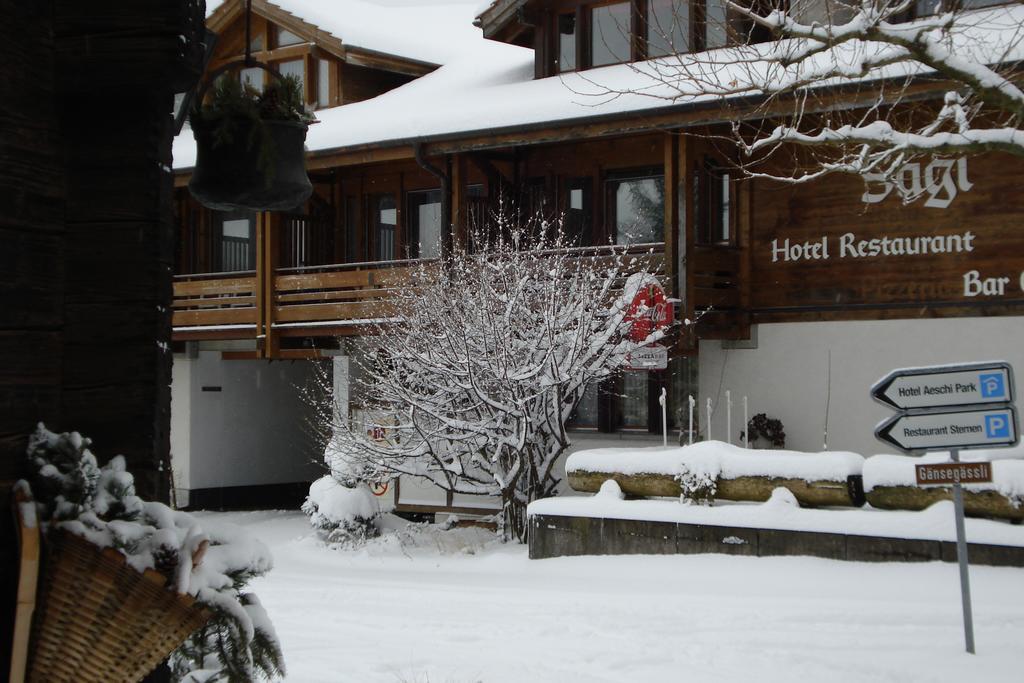 Hotel Aeschipark Aeschi Bei Spiez Εξωτερικό φωτογραφία