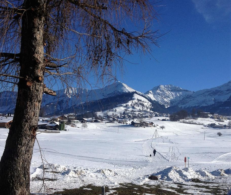 Hotel Aeschipark Aeschi Bei Spiez Εξωτερικό φωτογραφία