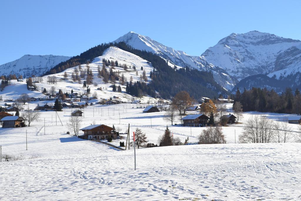 Hotel Aeschipark Aeschi Bei Spiez Εξωτερικό φωτογραφία