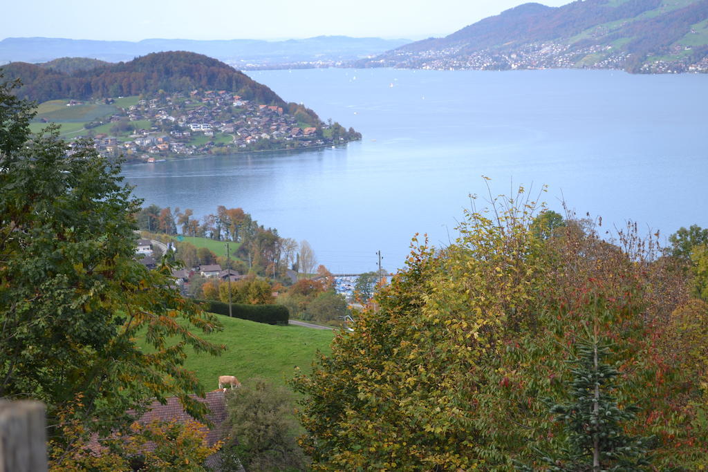 Hotel Aeschipark Aeschi Bei Spiez Εξωτερικό φωτογραφία